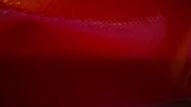 icebergslim281 webcam