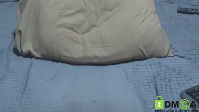 JumboBrain webcam