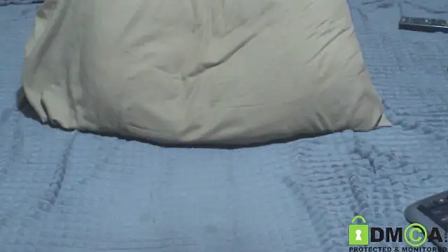 JumboBrain webcam