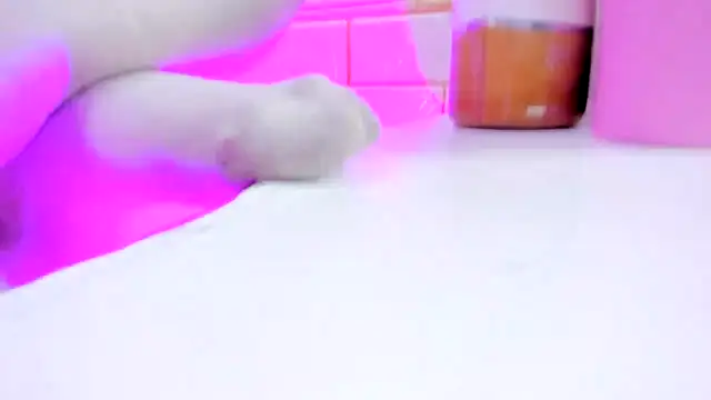 marcella_ortiz