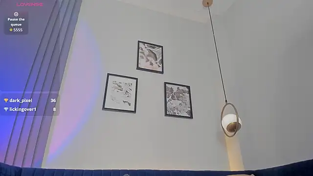 evazul webcam