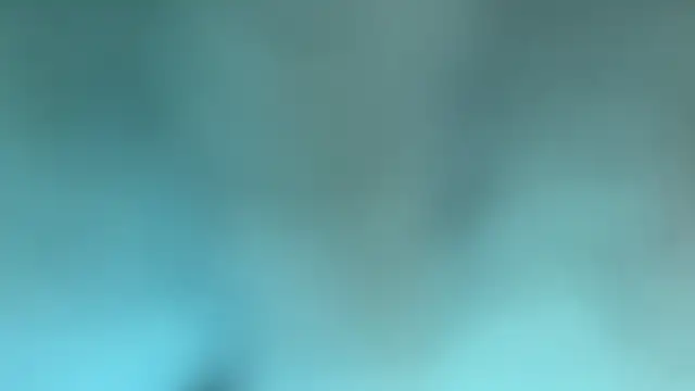 zamir333 webcam