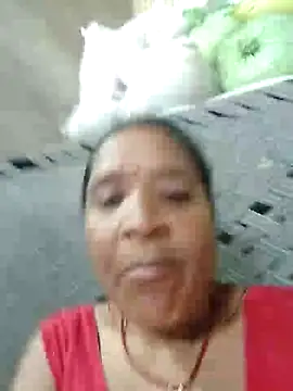 Loomaraj webcam
