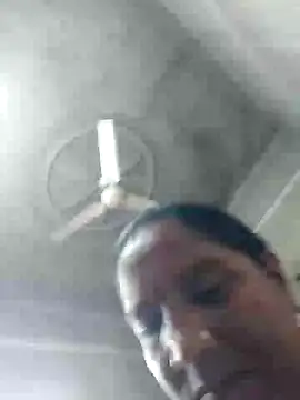 Loomaraj webcam