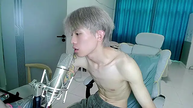 KPL-11 webcam
