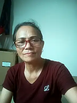 Vieekee webcam