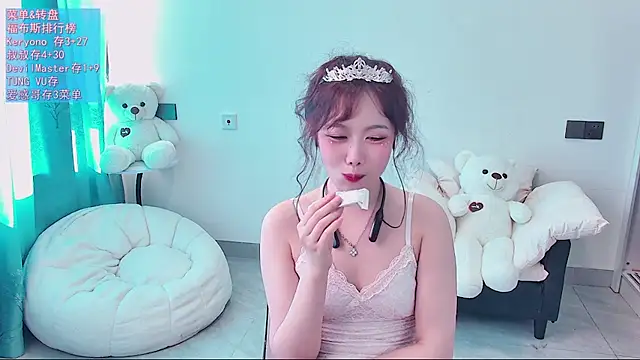 swie111 webcam