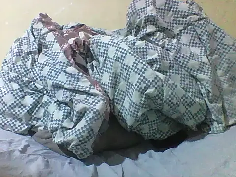 Offchart webcam