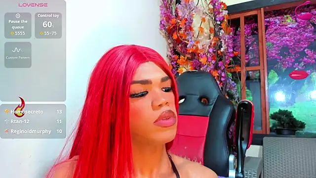 _Deivelys webcam
