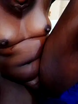 fyshie webcam
