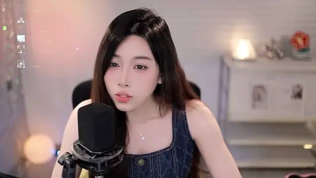 SleepArtist webcam