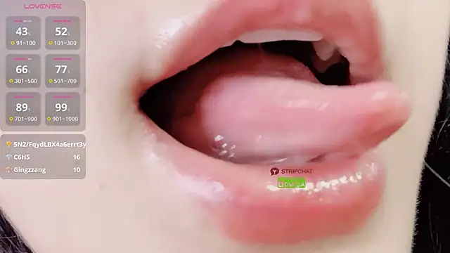 ice1-1e webcam