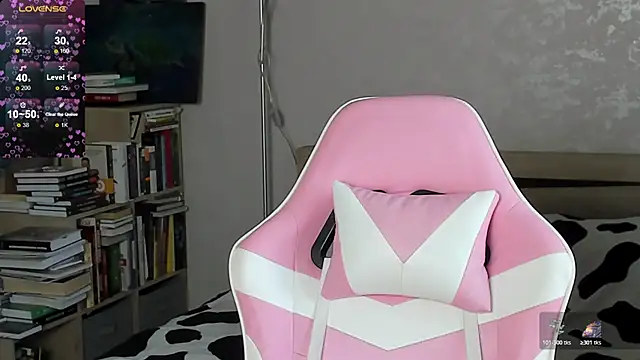 bbJ_one webcam