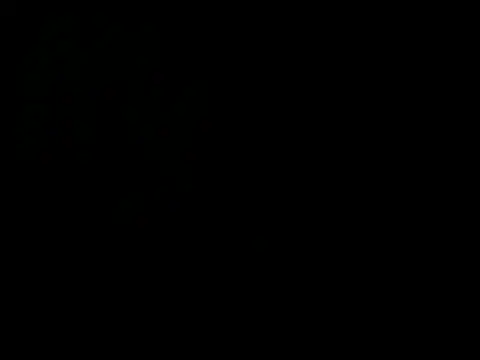 latinound webcam