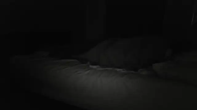 The_Real_aDDix269 webcam
