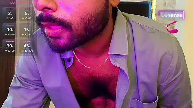 SilverShade3 webcam