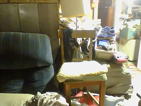 OldManOnline webcam