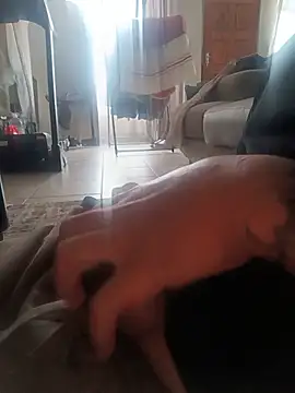 Leratolalebo webcam