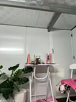 Nana-19 webcam