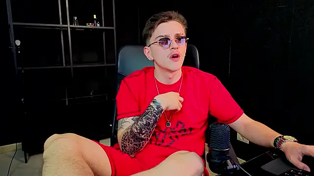 FelixStarkk webcam