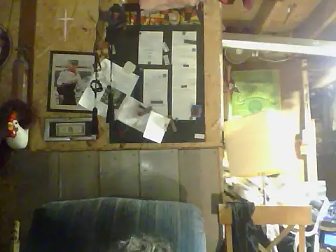 OldManOnline webcam