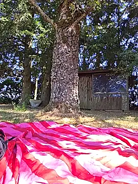 Luna_Lynn webcam
