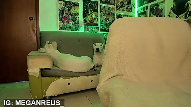 jonhcarrie webcam
