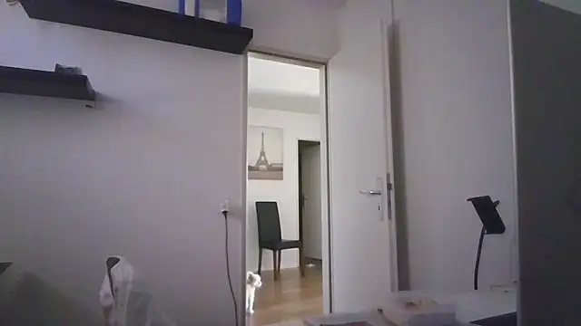 alpha-hunk webcam