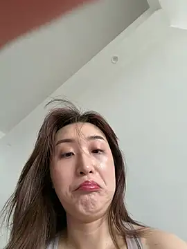 KK-328 webcam