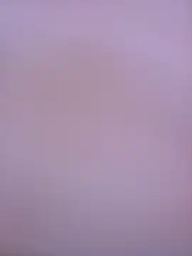 RickErtler webcam