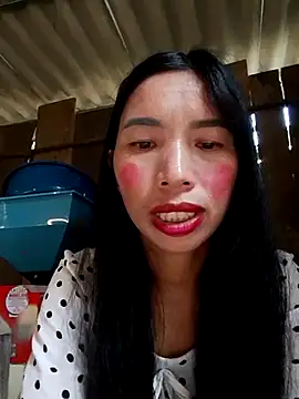 Tho-bibi webcam