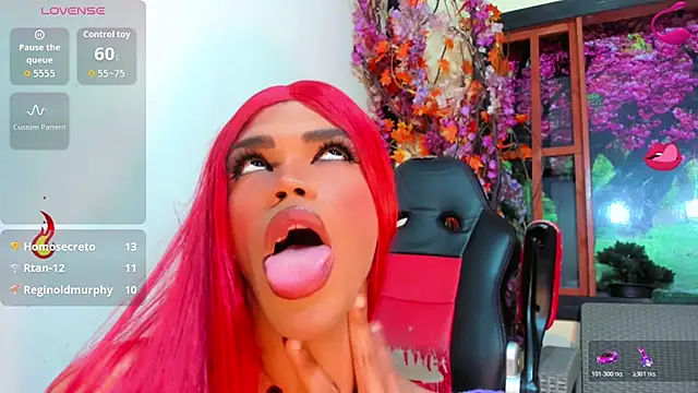 _Deivelys webcam
