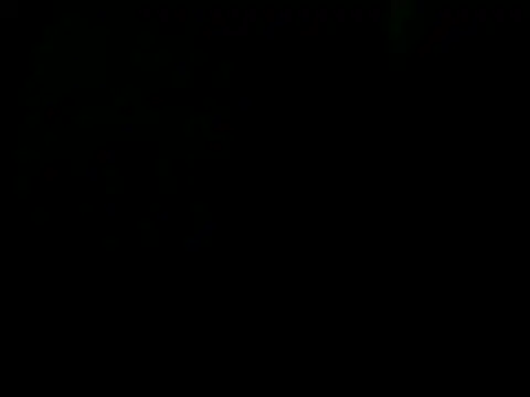 latinound webcam