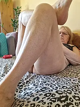 Dorina webcam