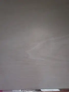skynct1991 webcam