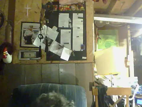 OldManOnline webcam
