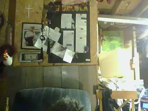 OldManOnline webcam