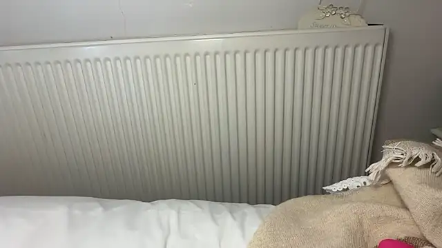 chelsea_strip webcam