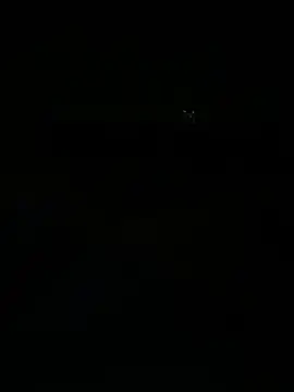 TheDime webcam