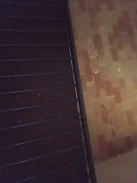 tukdjfjfjd webcam