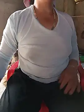 Bella-Camel webcam