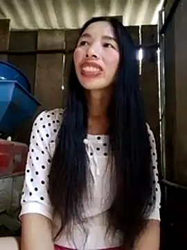 Tho-bibi webcam