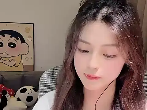 Dodo-13 webcam