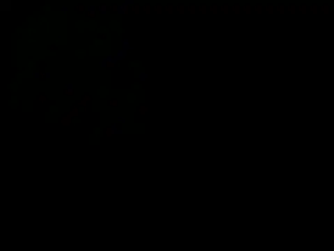 latinound webcam