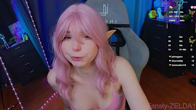 zelda_1 webcam