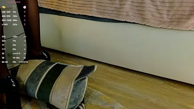 essyle webcam