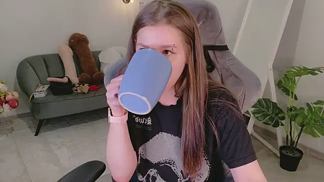 Mira_Falls webcam