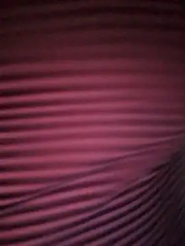 -Tara-a webcam