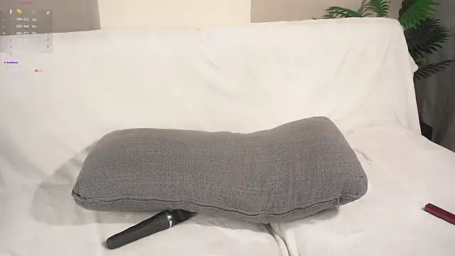 CaseyMulders webcam