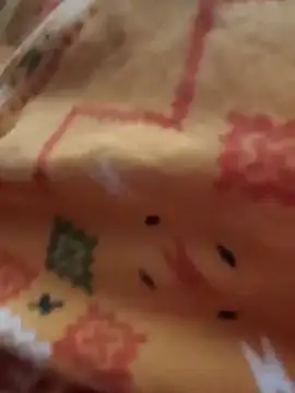 Sweet-runi webcam